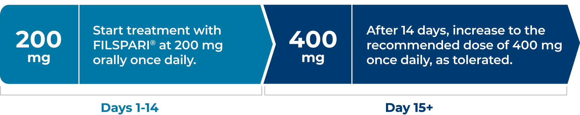 Take FILSPARI 200 mg orally once daily and on day 15, increase to 400 mg daily as tolerated.